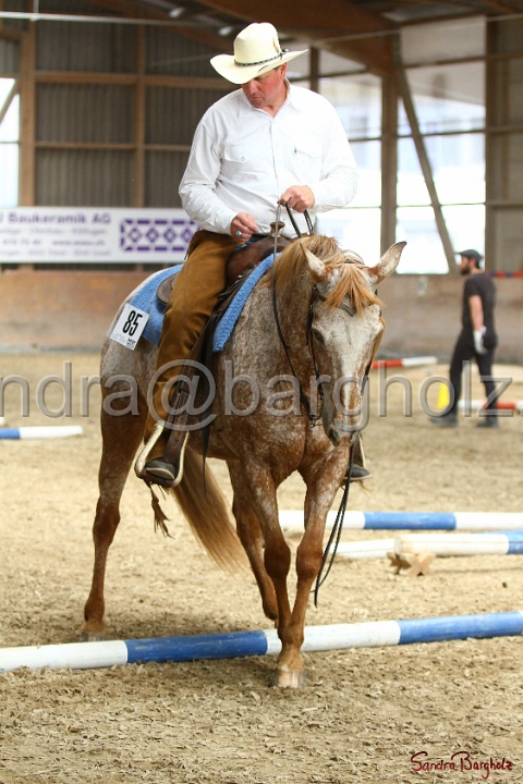 28-ApHC OT_189.jpg